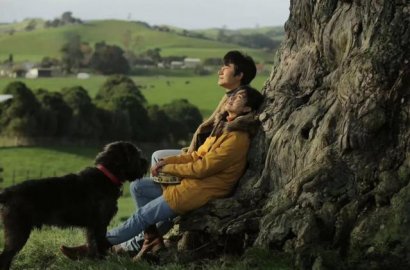 美到犯規的新西蘭，是從不會令旅行者失望的打卡地