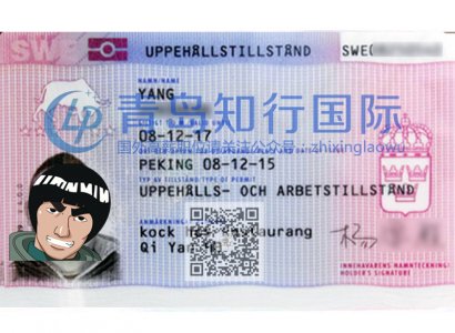 恭喜楊軍勝于2015年12月8日赴瑞典廚師工作