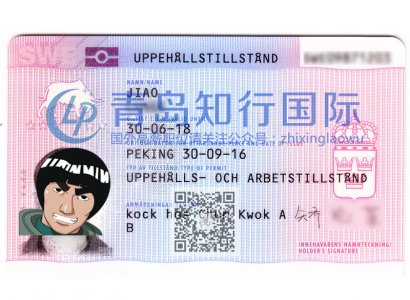 恭喜矯論革于2016年9月30日赴瑞典廚師工作