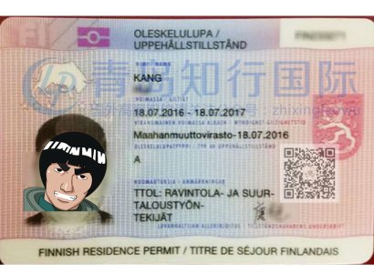 恭喜康銳于2016年7月18日赴芬蘭廚師工作