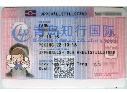 恭喜楊功印于2016年10月22日赴瑞典廚師工作