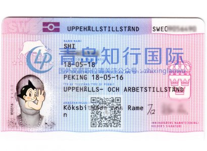 恭喜石振成于2016年5月18日赴瑞典廚師工作