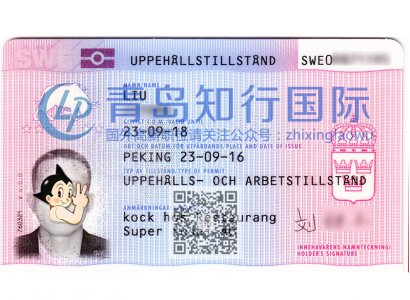 恭喜張繼永于2016年9月23日赴瑞典廚師工作