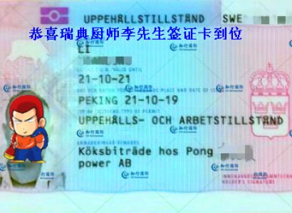 恭喜瑞典廚師李師傅簽證成功下簽