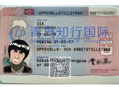 恭喜賈永泉于2017年5月1日赴瑞典廚師工作