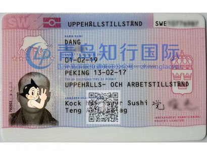 恭喜黨愛杰于2017年3月12日赴瑞典廚師工作