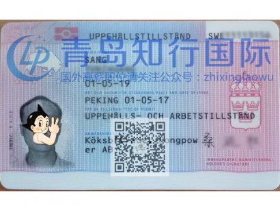 恭喜桑運壯于2017年5月1日赴瑞典廚師工作