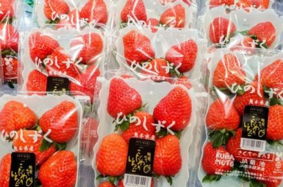 「日本節慶」日日都是好日！日本趣味諧音節日