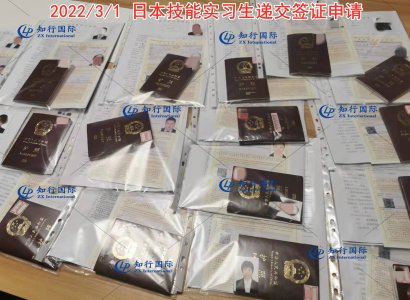 2022/3/1 日本技能實習生簽證遞交